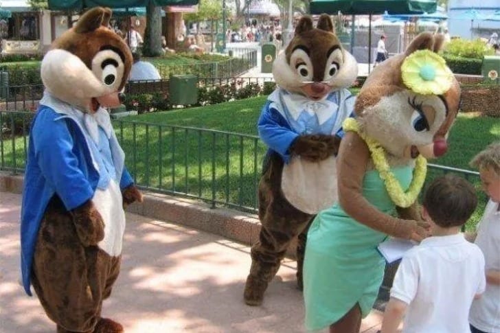 Crazy Disney Park Photos Page Of Wtfacts