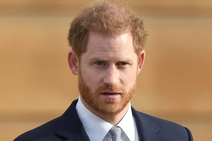 This Is What Prince Harry Is Banned From Doing Now That He’s Not A ...