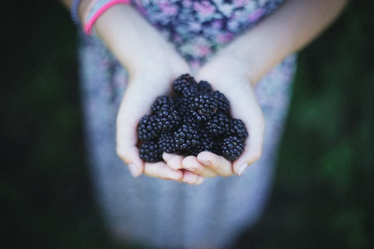 blackberries-2