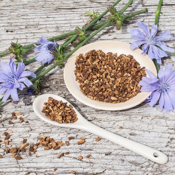 chicory-root-coffee-extract-benefits-side-effects-selfdecode