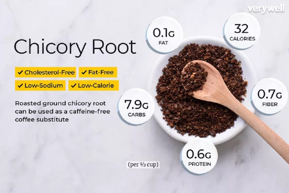 Chicory Root 4 